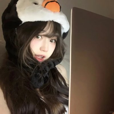 大鸟和小鸟